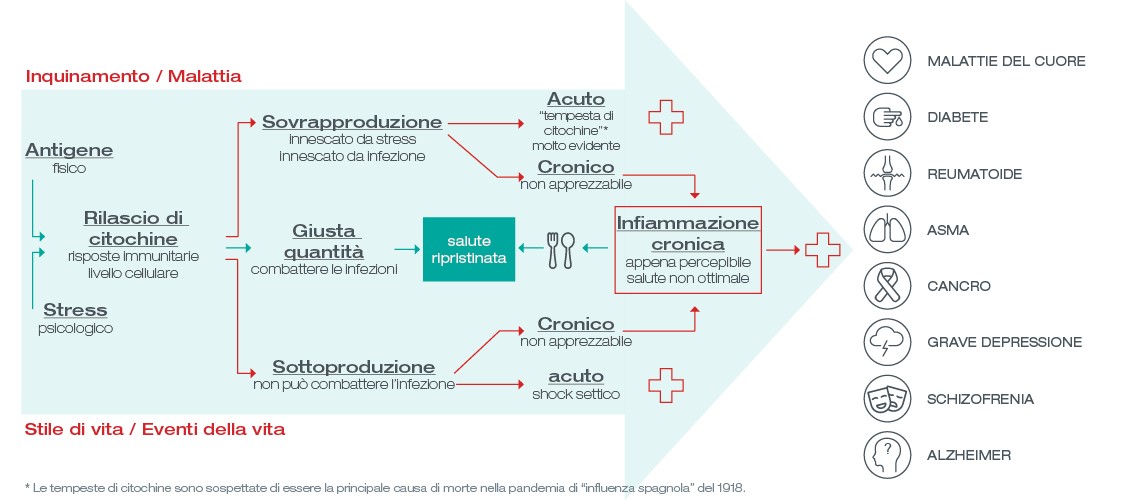 infografica di infiammazione cronica