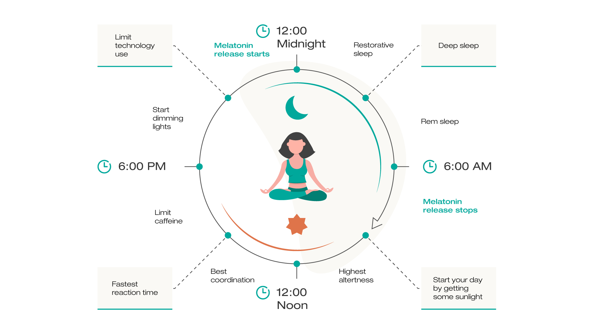 Ritmo circadiano infographic
